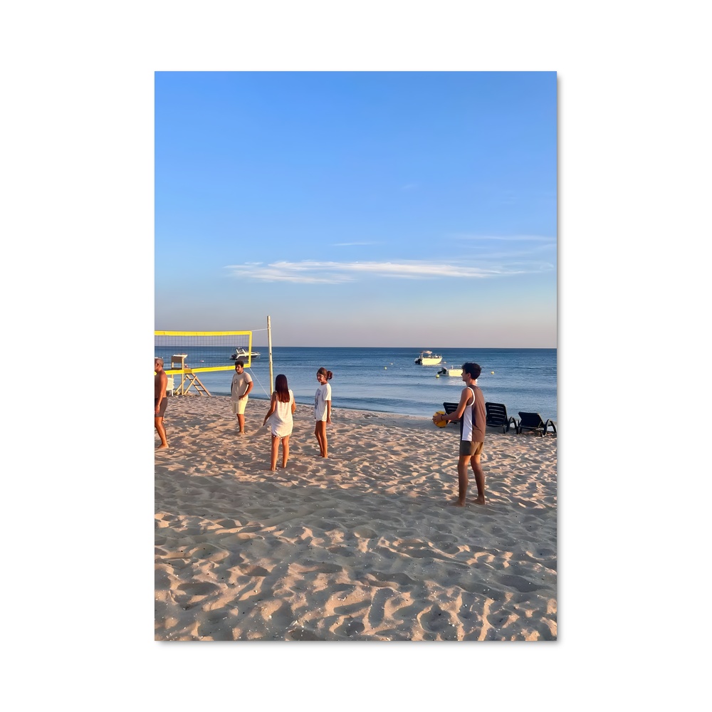 Poster Beach Volley Fever